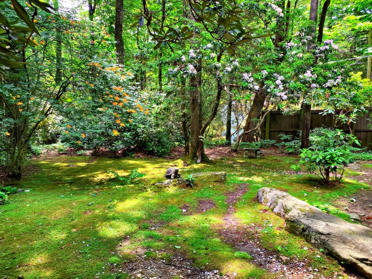 A lush and tranquil exterior landscape with mossy ground, flowering shrubs, and large stones. The setting feels secluded and enchanting, inviting quiet walks or moments of peaceful reflection with a loved one.